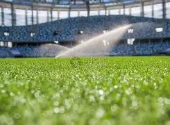 莱万纪录待,凯恩挑战,新年全力冲,中彩网,彩票预测,彩票平台,在线投注,高频彩票