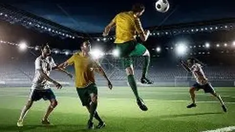 保定男排逆转山东队获胜