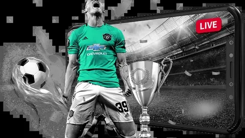 中国女排新任主教练招聘正式启动