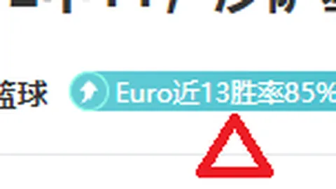 2025年宣城青少年羽球赛：宣州再获冠军荣耀
